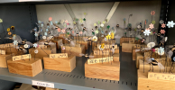 Technisches und Textiles Gestalten
